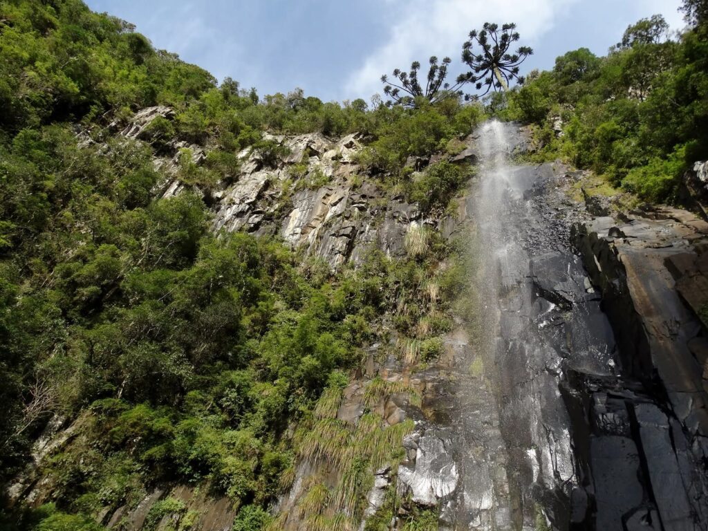 Cachoeira das Araucárias